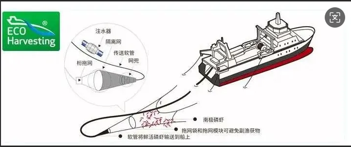 捕鱼1.png